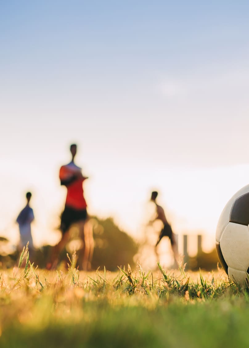 Sports zone in the property